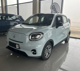 LEAPMOTOR T03