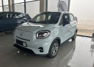 LEAPMOTOR T03